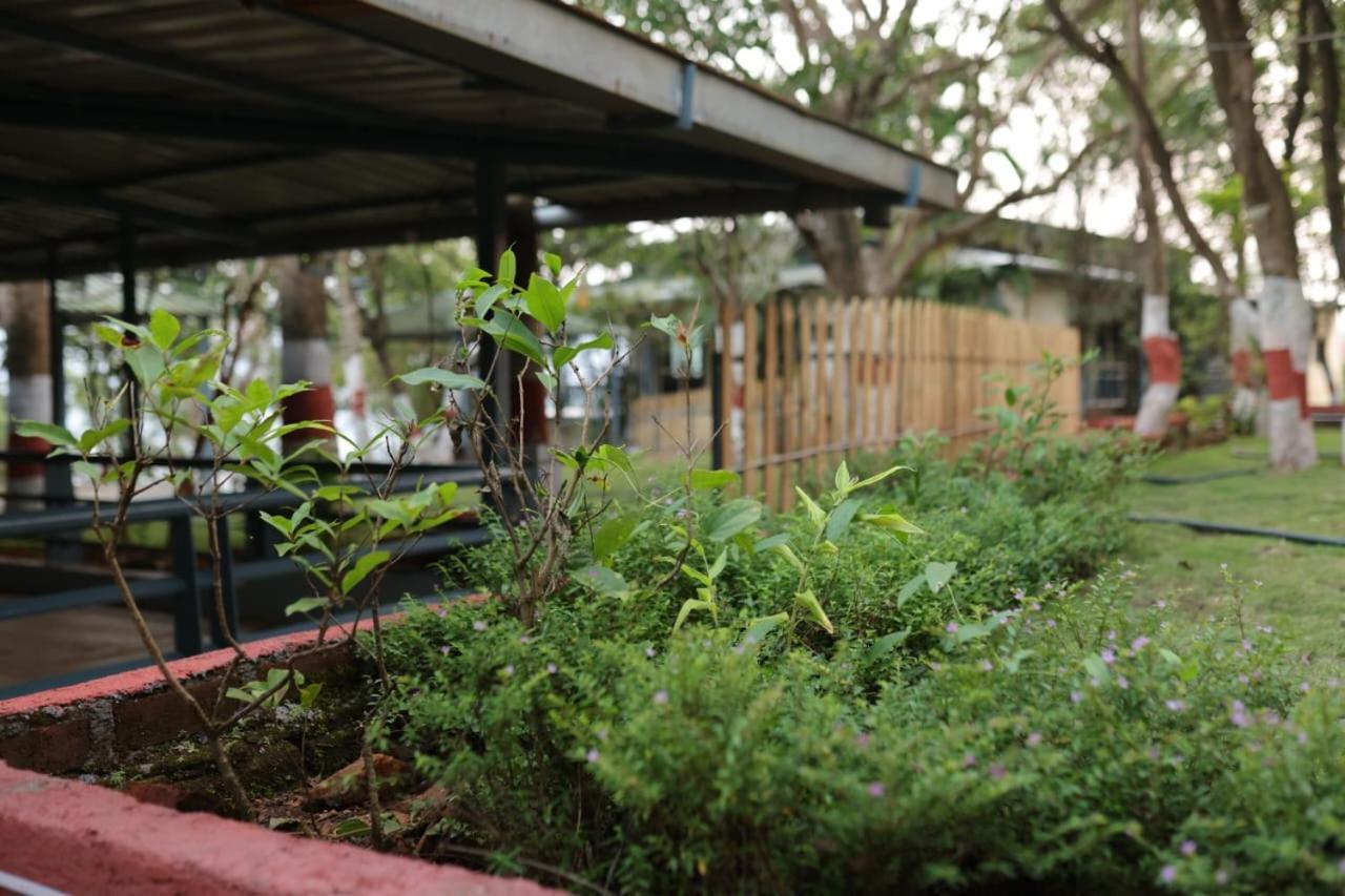 Nisarg Farm Mulshi住宿加早餐旅馆 外观 照片